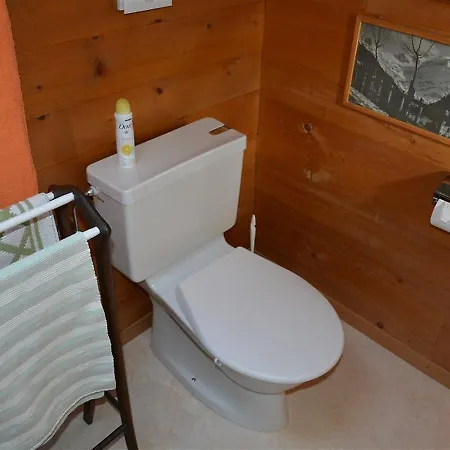 Apartmán Fluehli *